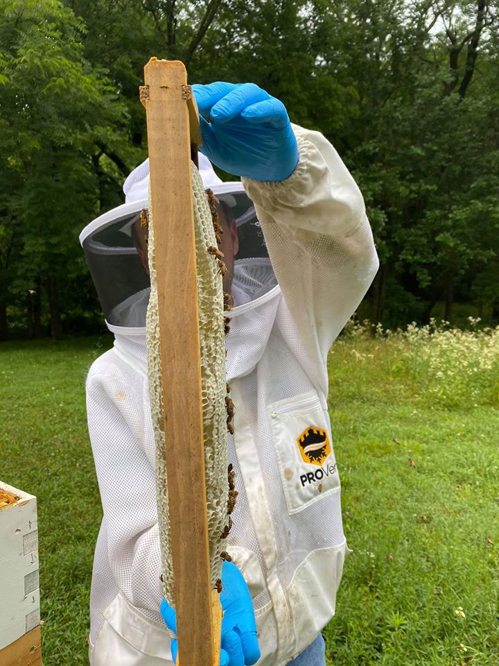 Honey Bound? : r/Beekeeping